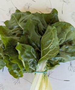 Alternative view of Blitva (500 grama)