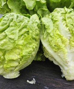 mala rimska salata