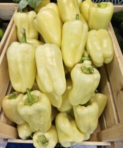 Paprika babura